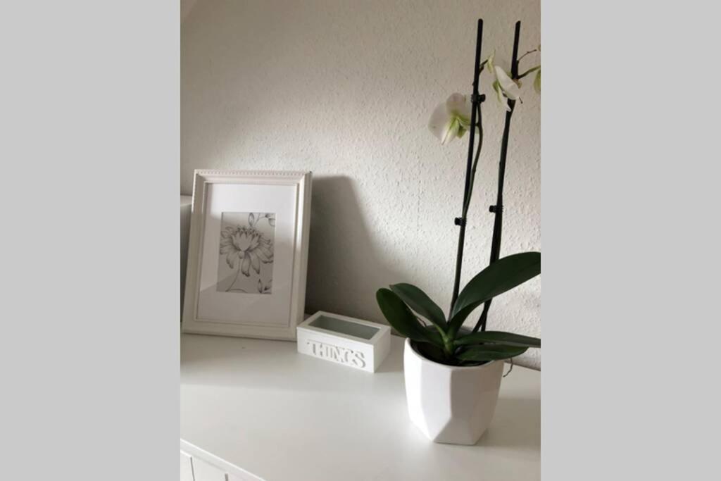 Komfortferienwohnung Harzglueck Auf 2 Etagen Hohegeiss Bagian luar foto